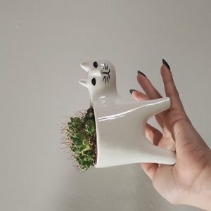 Tiny pot for plants(cactus)